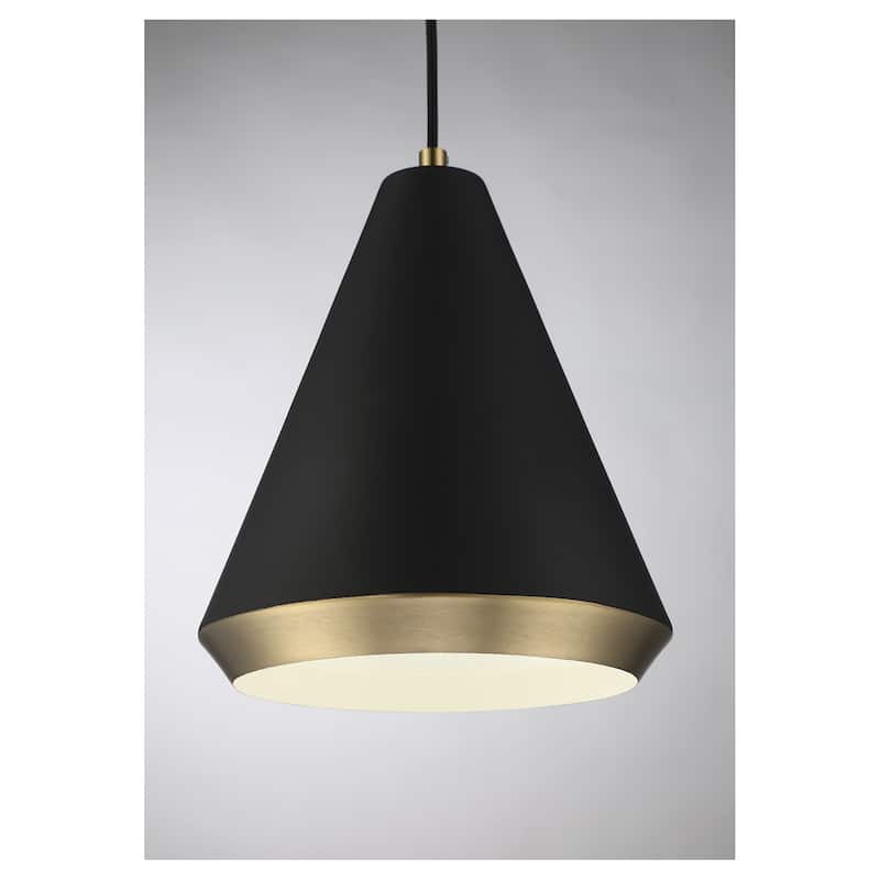 Meridian M70122 10" Wide Pendant