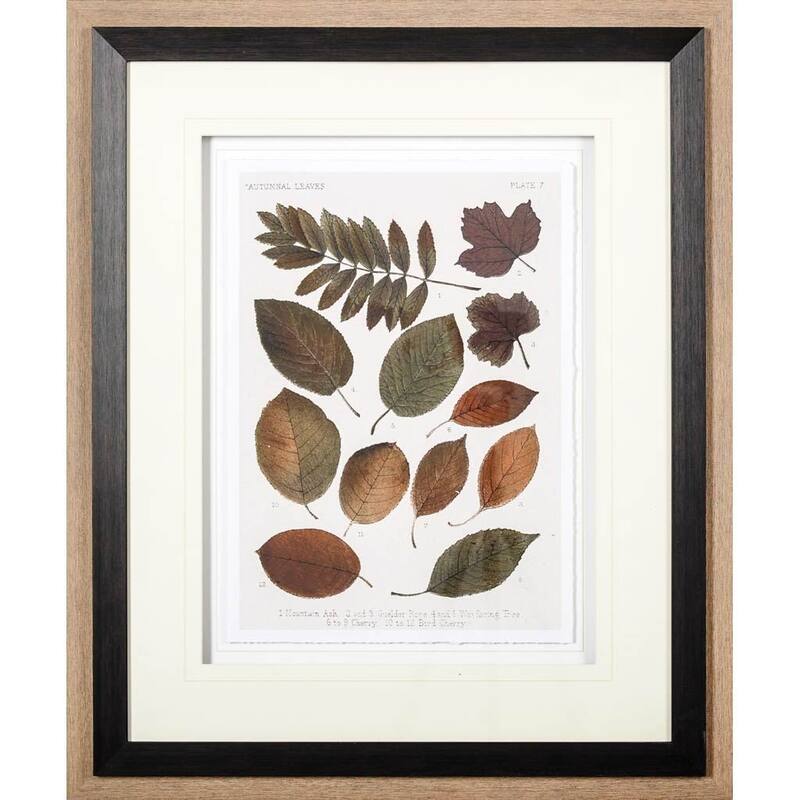 Autumnal Leaves II Framed Art Print