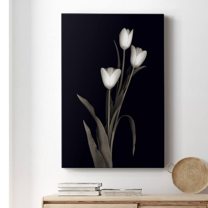 Tulip Pose I Premium Gallery Wrapped Canvas - Ready to Hang