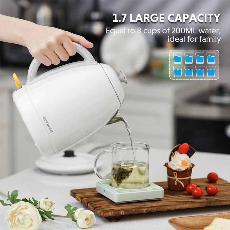 BUYDEEM 1.7L Stainless Steel Electric Tea Kettle with Auto Shut-Off and Boil Dry Protection