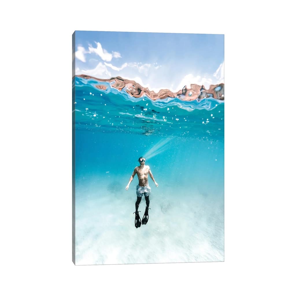 iCanvas "Underwater Paradise" by Daniel Keating Canvas Print