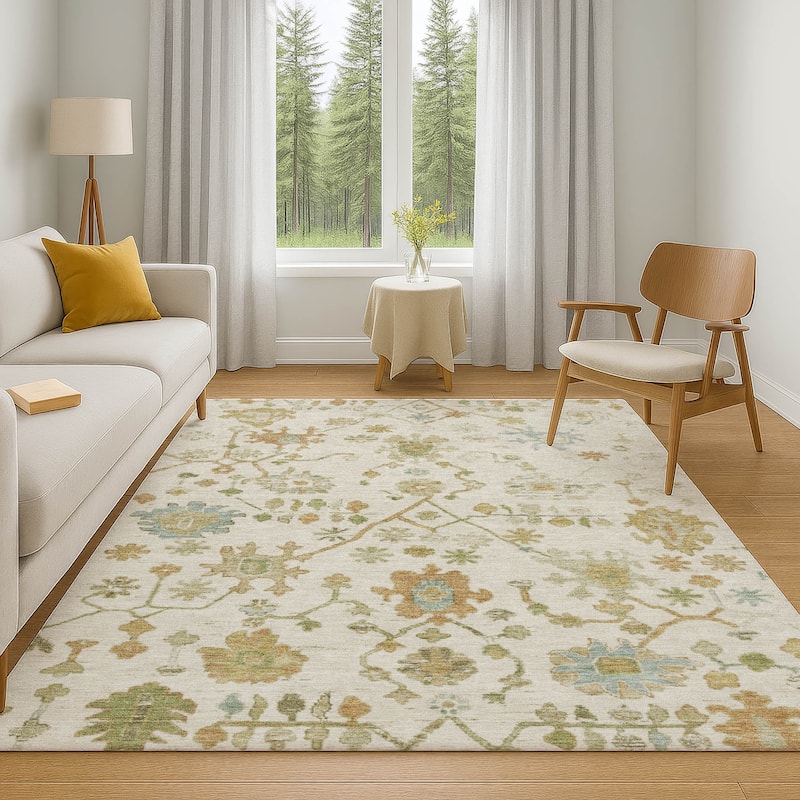 Premium Washable Super Soft Farmhouse Traditional Mayfield Rug