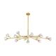 Option Brushed Brass / Clear