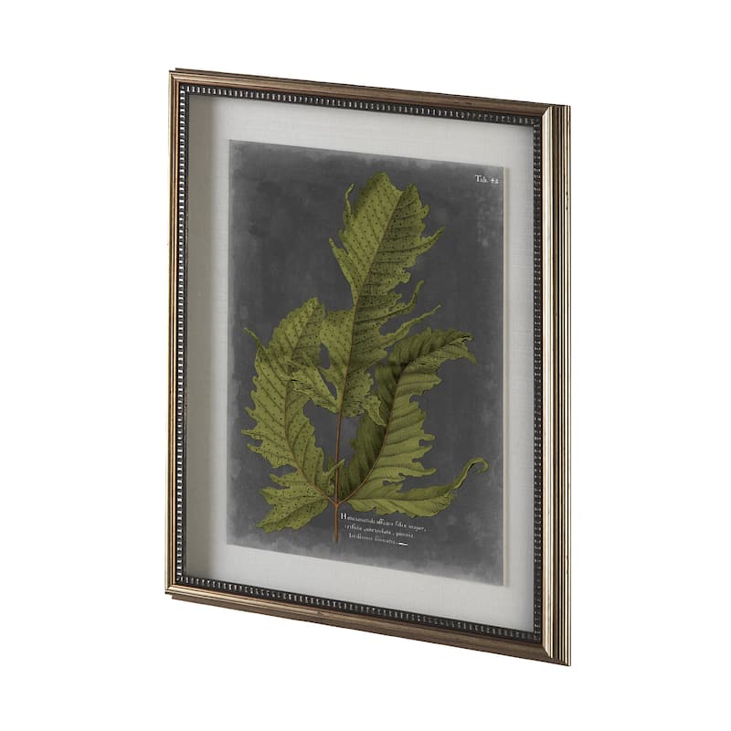 Foliage Dramatique I Framed Art Print