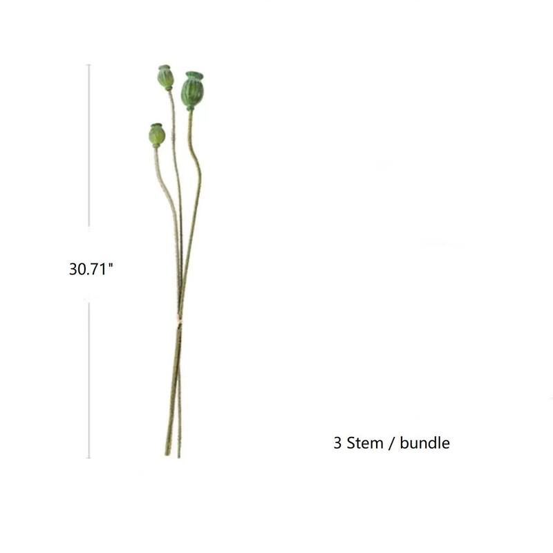 RusticReach Green Poppy Fruit Stem 30.7" Tall 3-Stem Bundle - [C]-Five Stems