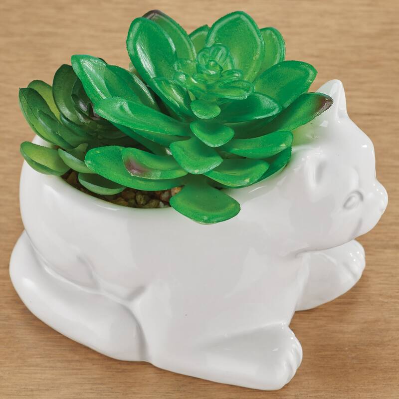 Fake Succulent Arrangement in White Ceramic Cat Pot - 5 x 5 x 4