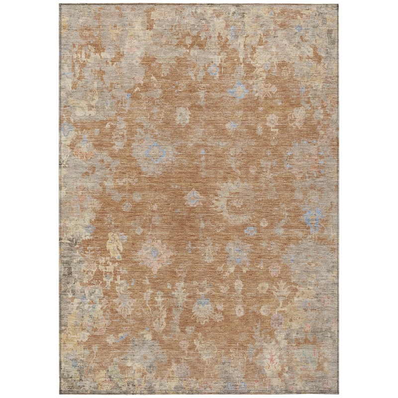 Machine Washable Indoor/ Outdoor Vintage Traditional Chantille Rug