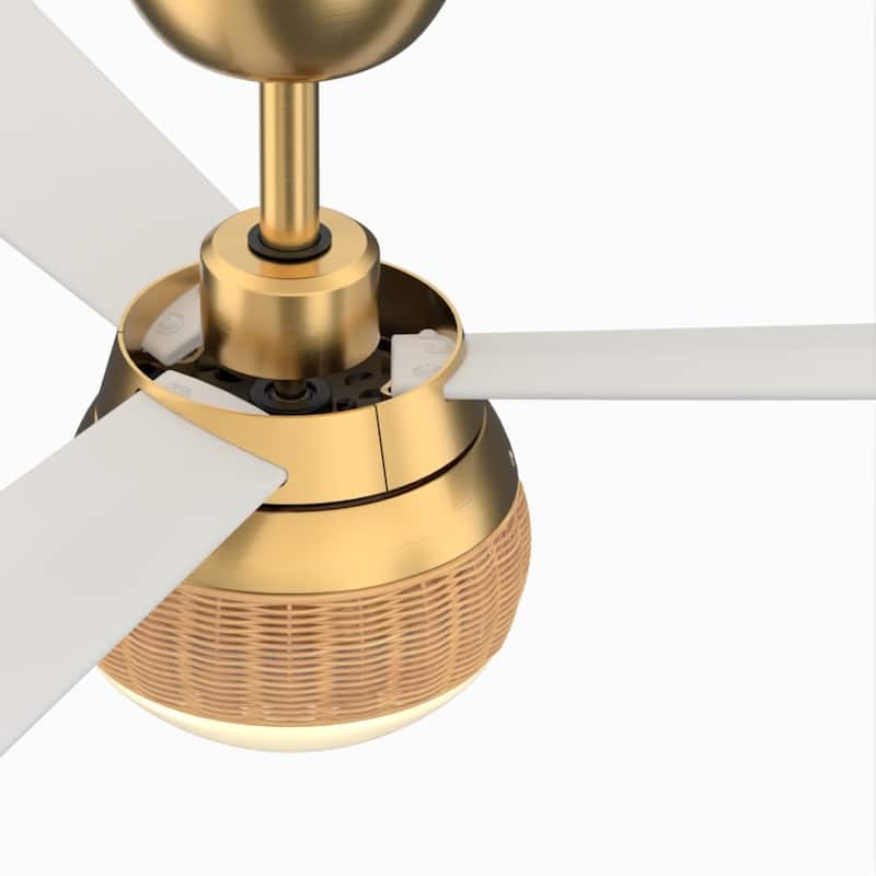 Paget 52 inch Indoor/Outdoor Ceiling Fan LED Light Kit