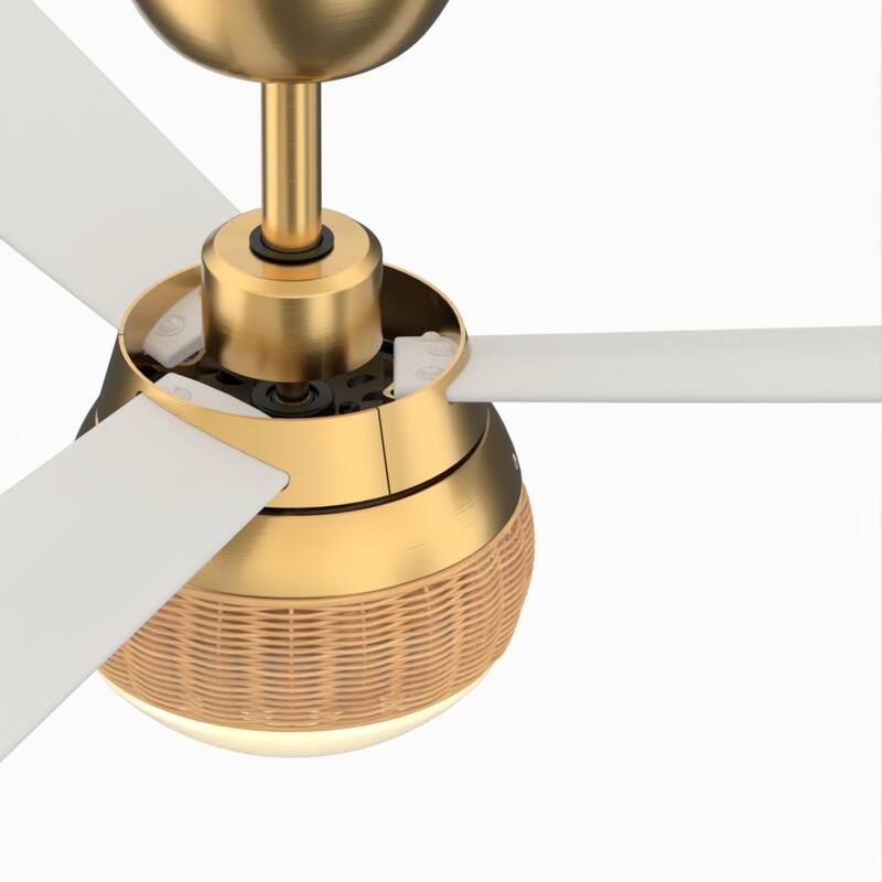 Paget 52 inch Indoor/Outdoor Smart Ceiling Fan with LED Light Kit and Remote