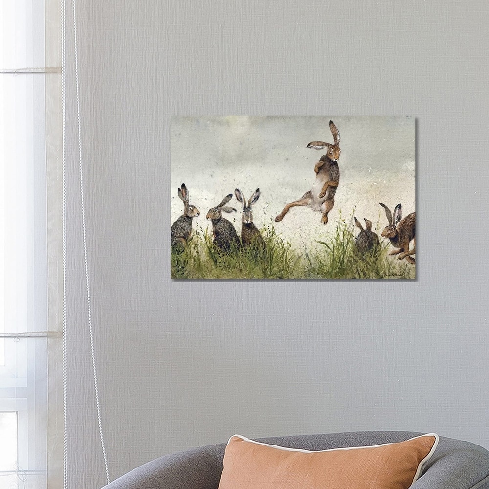 iCanvas 'Hijinx' by Maggie Vandewalle Canvas Print