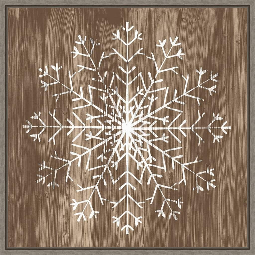 Barnwood Wonderland III (Snowflake), June Erica Vess Framed Canvas Art
