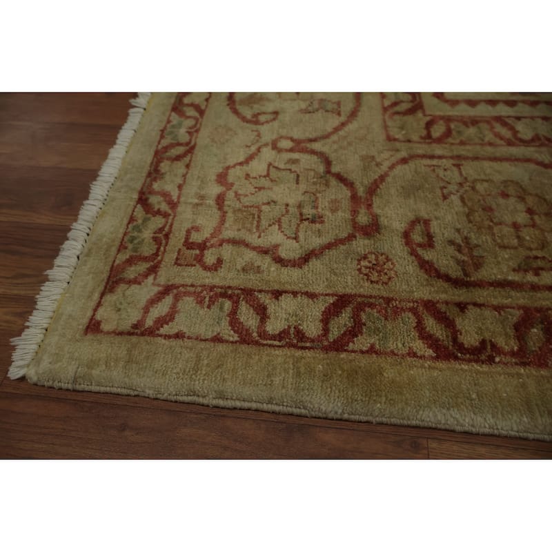 Hand Knotted Oriental 100% Wool Carpet Traditional Floral Yellow & Gold Chobi-Peshawar Area Rug - 10' 0'' X 8' 0''