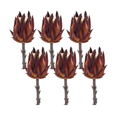 Protea Stem (Set of 6) - 3 x 3 x 19.75