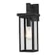 1-Light outdoor wall light with black finish and clear glass shade - Black