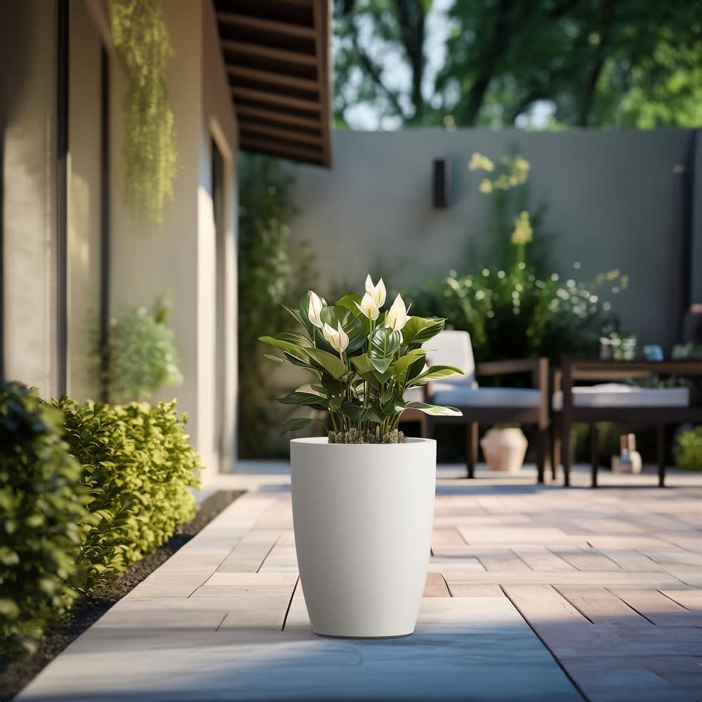 Tall Concrete Round Plant Pots / Large Indoor and Outdoor flower Planters
