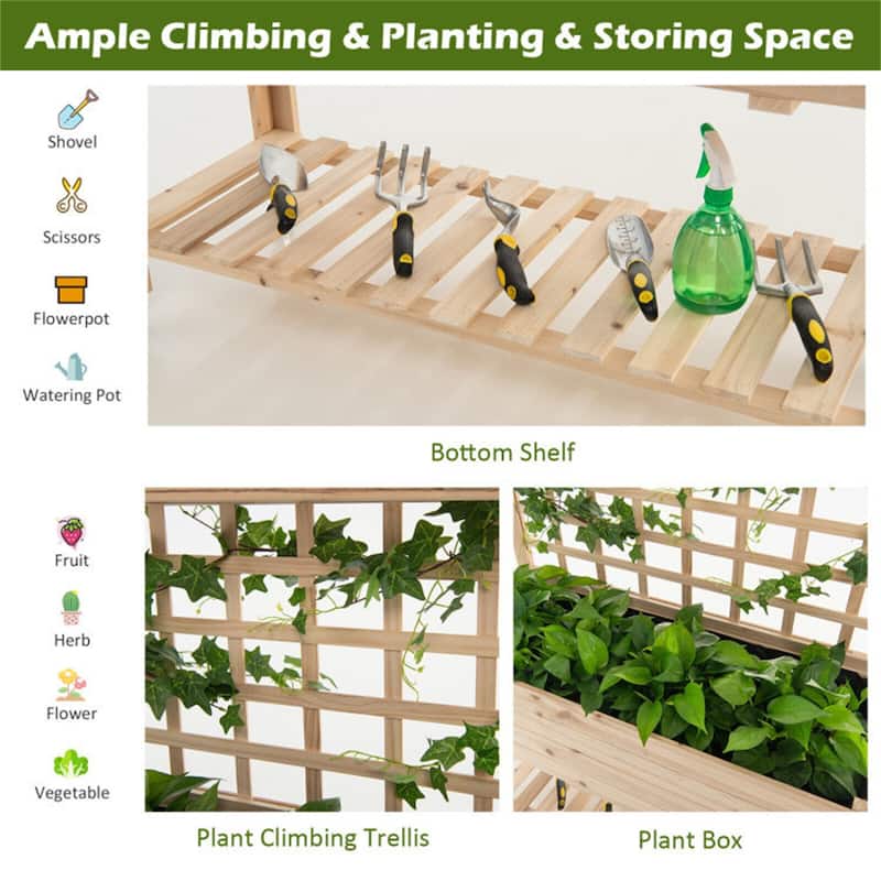 Raised Garden Bed Elevated Wooden Planter Box