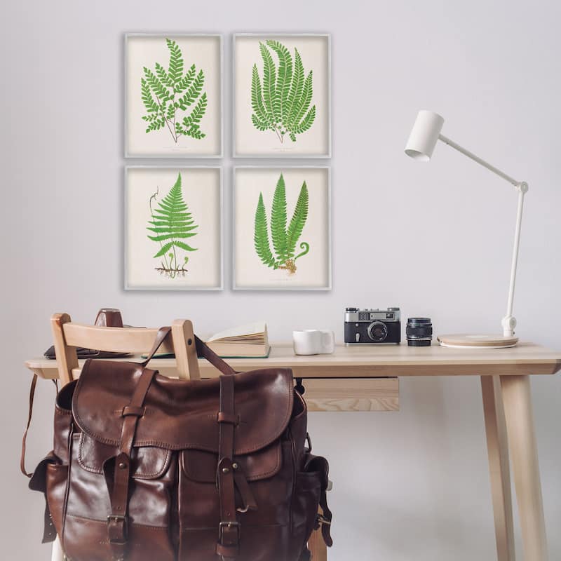 Stupell Subtle Green Fern Branches Framed Giclee Art Design By Phillipa Katz (Set of 4)