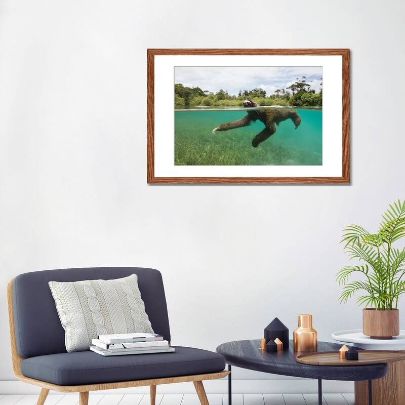 iCanvas "Pygmy Three-Toed Sloth Swimming In Mangrove Forest, Isla Escudo De Veraguas, Panama" by Suzi Eszterhas