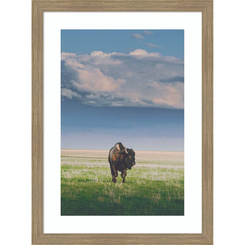 Sunlight Bison by Annie Bailey Art Wood Framed Wall Art Print - Woodgrain Stripe Mocha