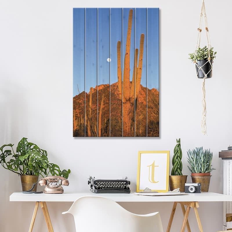 Saguaro Cactus In Desert Landscape, Sonoran Desert, Saguaro National Monument, Arizona Print On Wood by Konrad Wothe