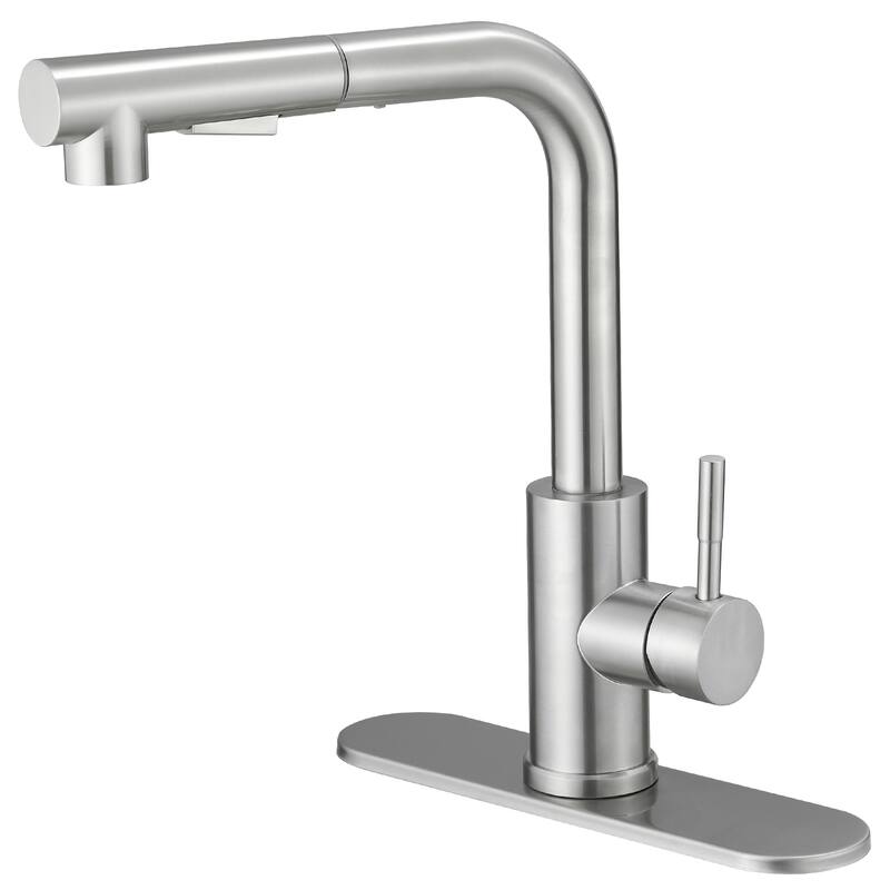 WIZ Pull Out Kitchen Faucet with Pull Down Sprayer - Chrome/Clear