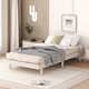 Option White Washed