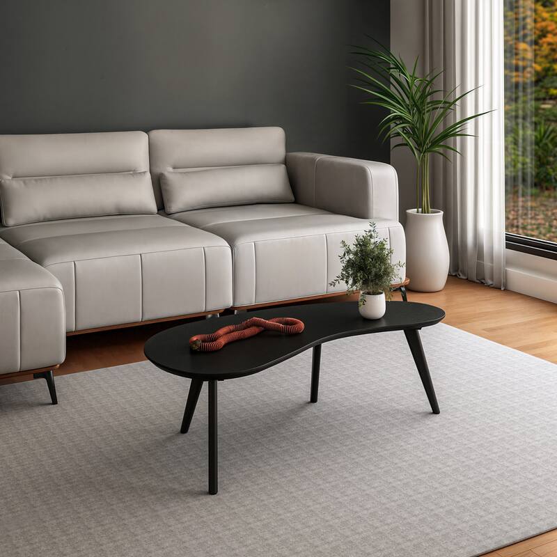 Mid Century Modern Coffee Table