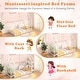 preview thumbnail 17 of 18, Twin Size Montessori Floor House Bed with Detachable Storage Shelves and Clothes Hanging Rack