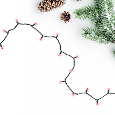 LED Mini Christmas Lights - Red - 16.25' Green Wire - 50ct
