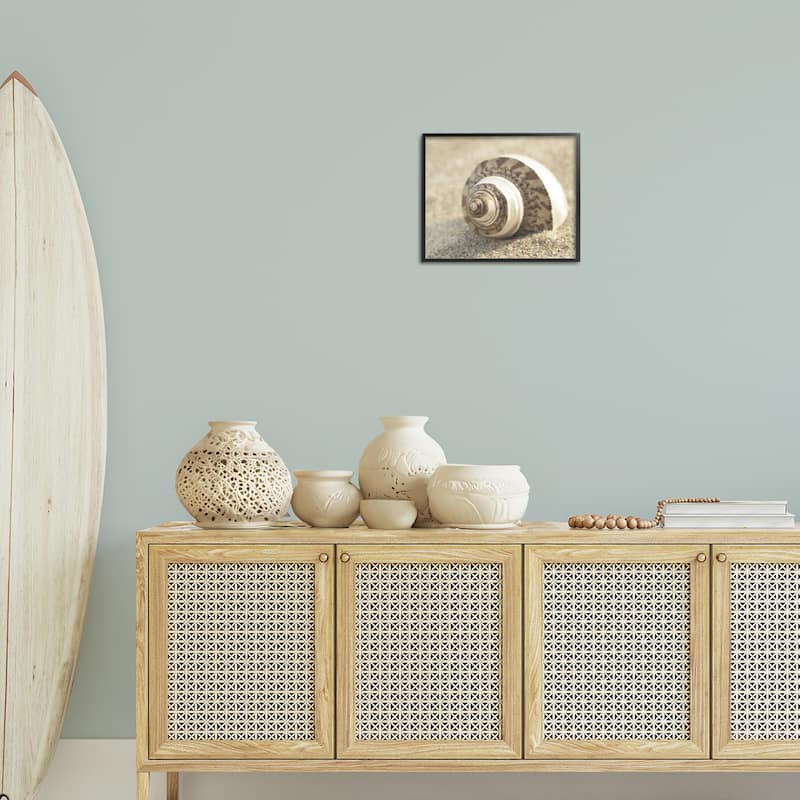 Stupell Neutral Tone Seashell Framed Giclee Art Design By Dora Rotondella