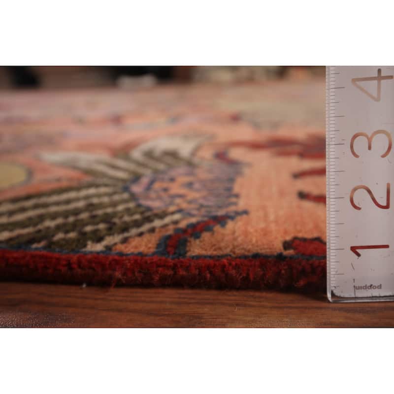 Animals Design Ziegler Indian Large Area Rug Handmade Wool Carpet - 9'10"x 13'11"