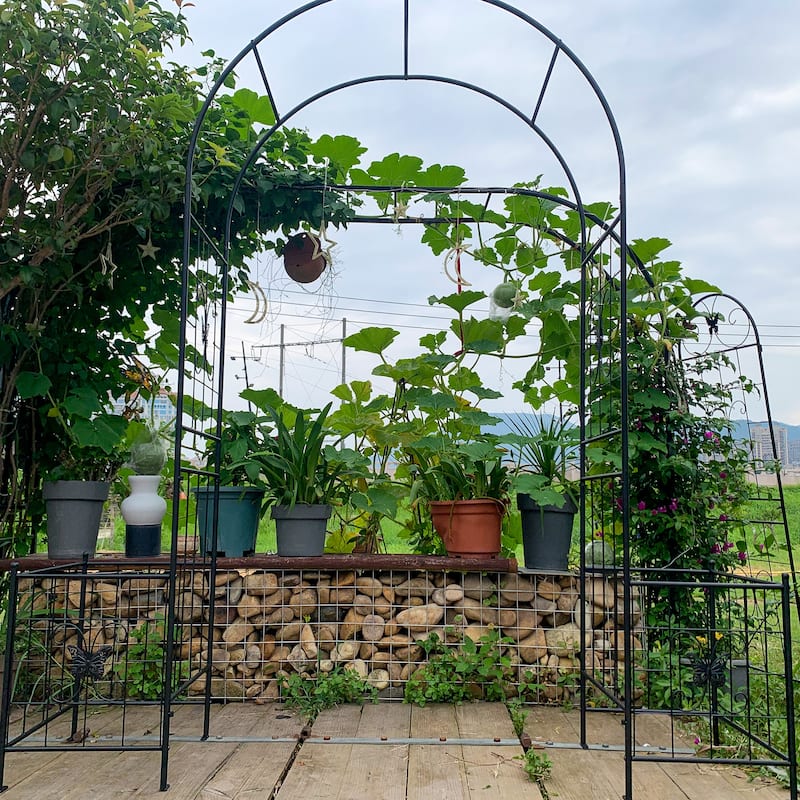 Garden Arch Arbor Trellis for Climbing Plants, Durable Metal Garden Arch Outdoor Wedding Arch, 7.15ft