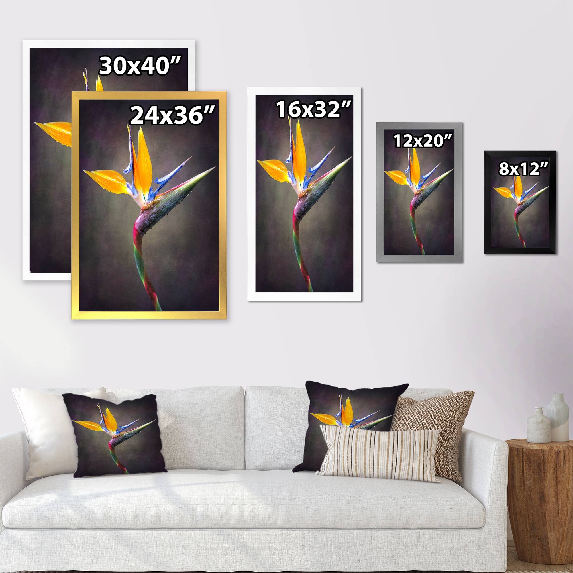 Designart "Tropical Strelitzia Jungle Flower" Traditional Framed Wall