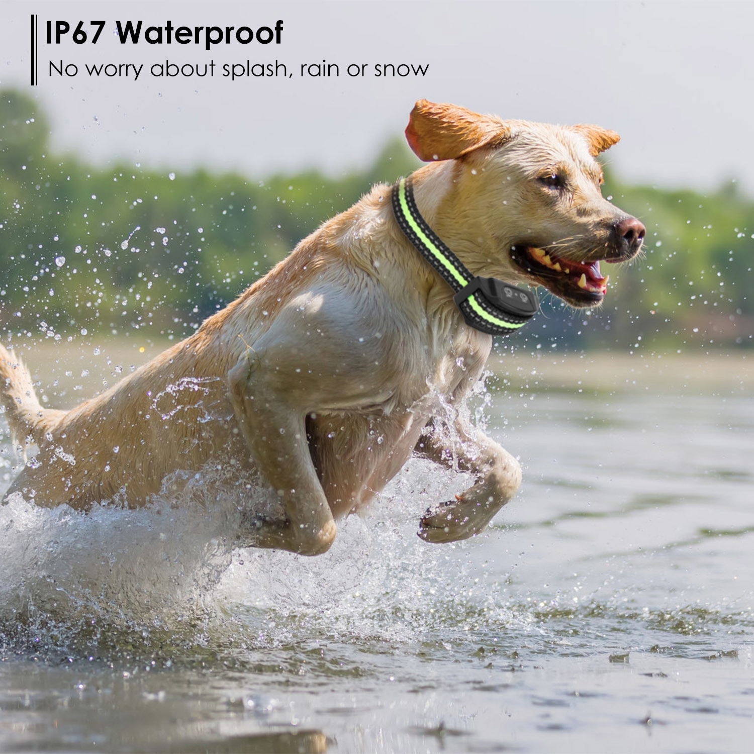 Outdoor Safe Pet Beds Bed Bath Beyond