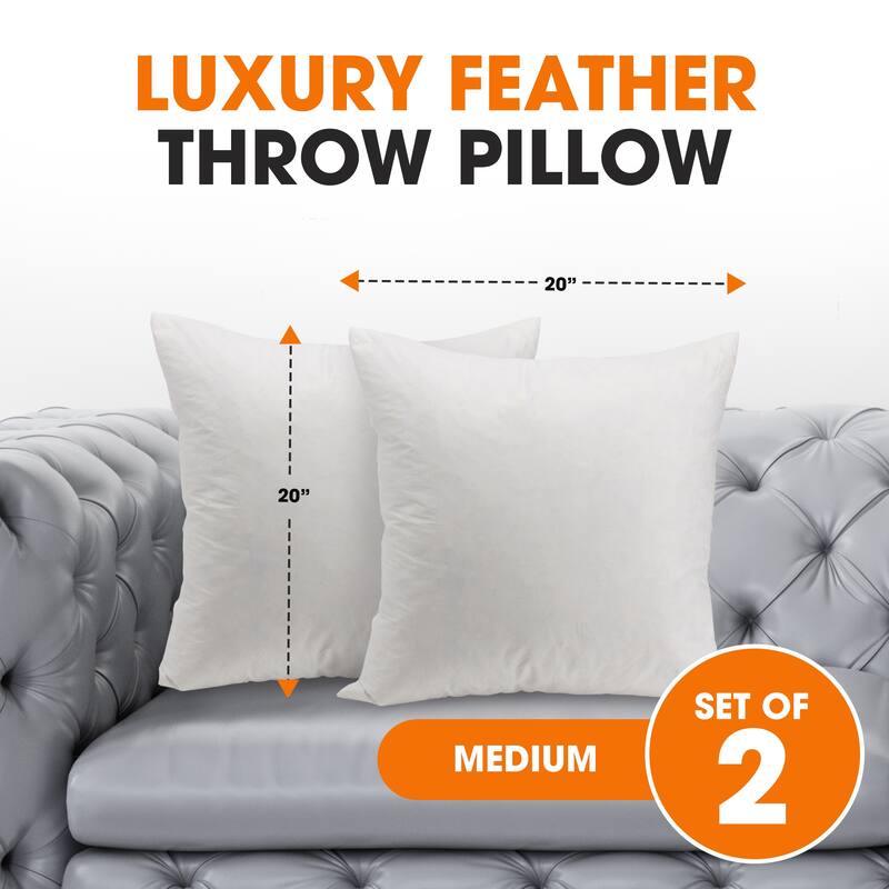 Cheer Collection Feather Down Decorative Square Pillow
