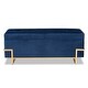 preview thumbnail 4 of 10, Parker Glam and Luxe Storage Ottoman