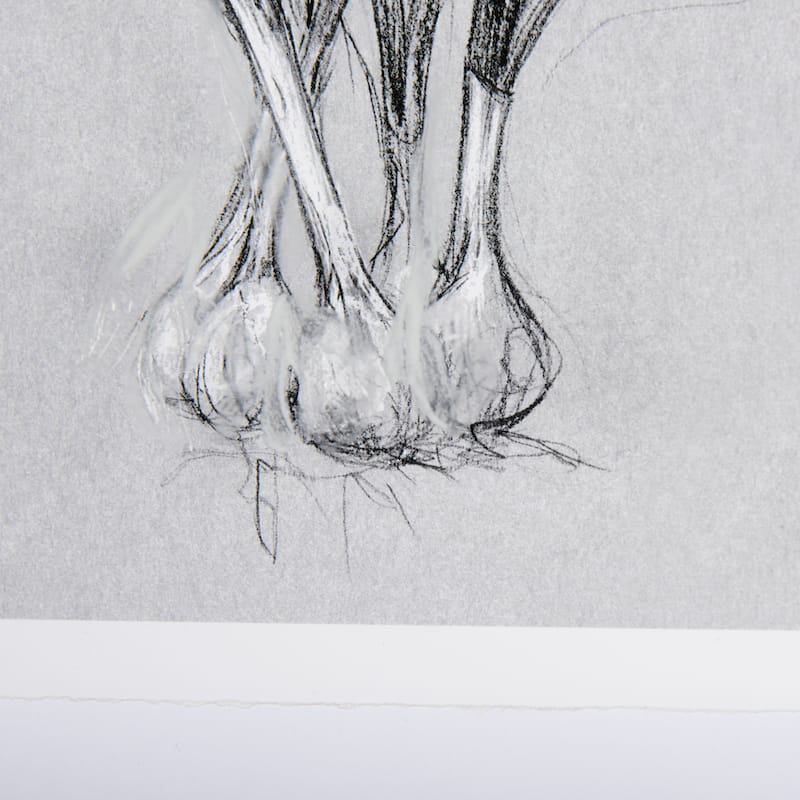 Botanical Sketches VI (Grey) Framed Art Print