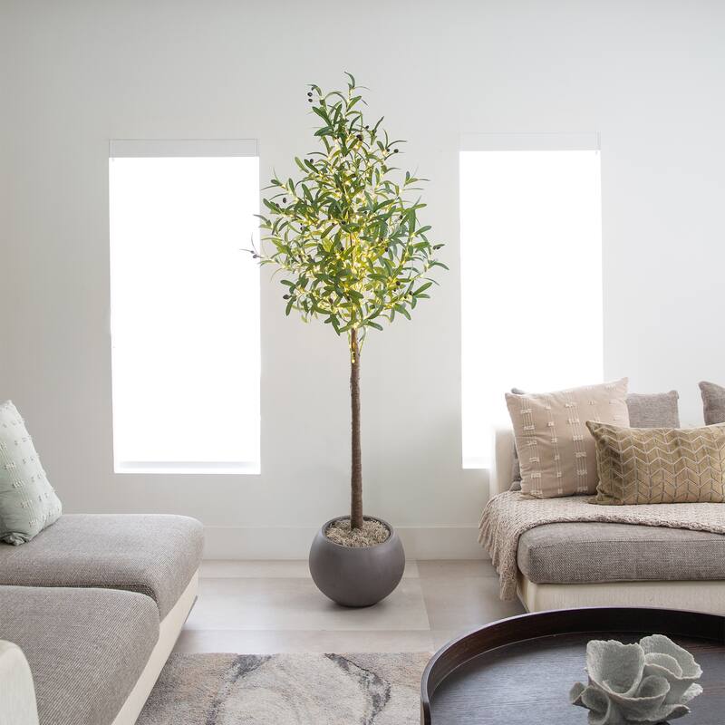 Pre-Lit Artificial Olive Tree - 6' - Warm White LED Lights