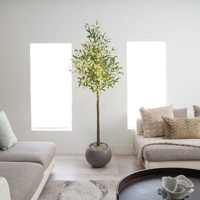 Pre-Lit Artificial Olive Tree - 6' - Warm White LED Lights