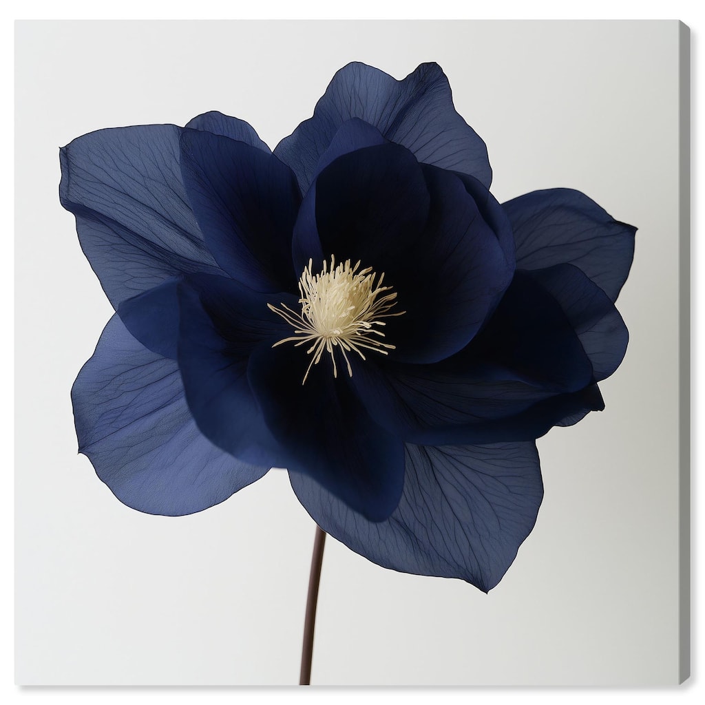 Night Dal III Canvas by Art Remedy, Gallery Wrapped