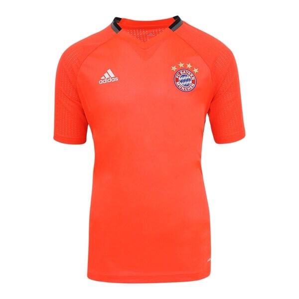 fc bayern training jersey