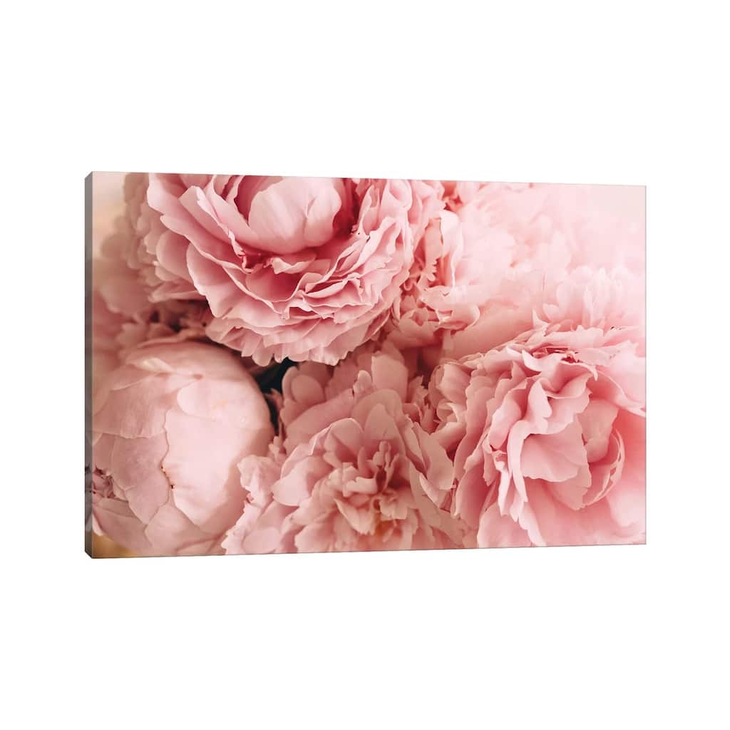 iCanvas "Blush Peonies" by Chelsea Victoria Canvas Print