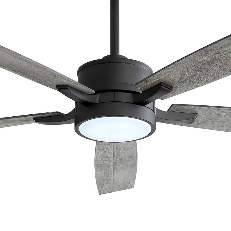 65 Inch Black LED Ceiling Fan with Light and Remote(5-Blade)