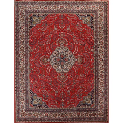 Vintage Vegetable Dye Lilian Persian Area Rug Hand-knotted Wool Carpet - 10'2" x 11'9"
