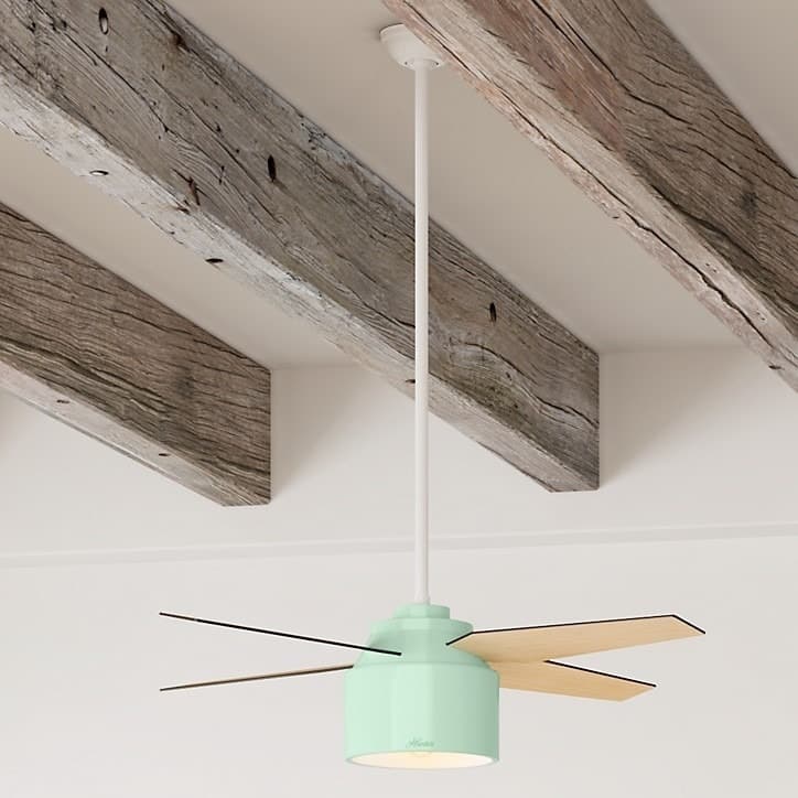 Hunter 52" Cranbrook Ceiling Fan with LED Light Kit and Handheld Remote