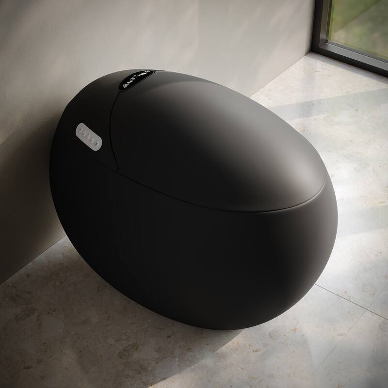 Plaisir Smart One-Piece 1.28 Gpf Single Flush Toilet In Matte Black
