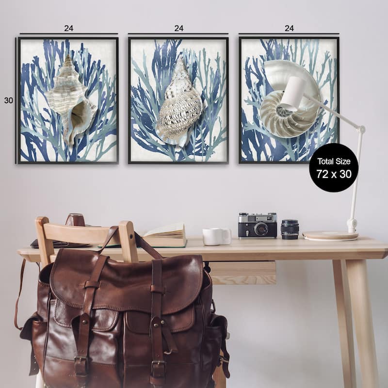 Stupell Trio of Shell Coral Blue Beach Design, 3pc Multi Piece Framed Wall Art Set