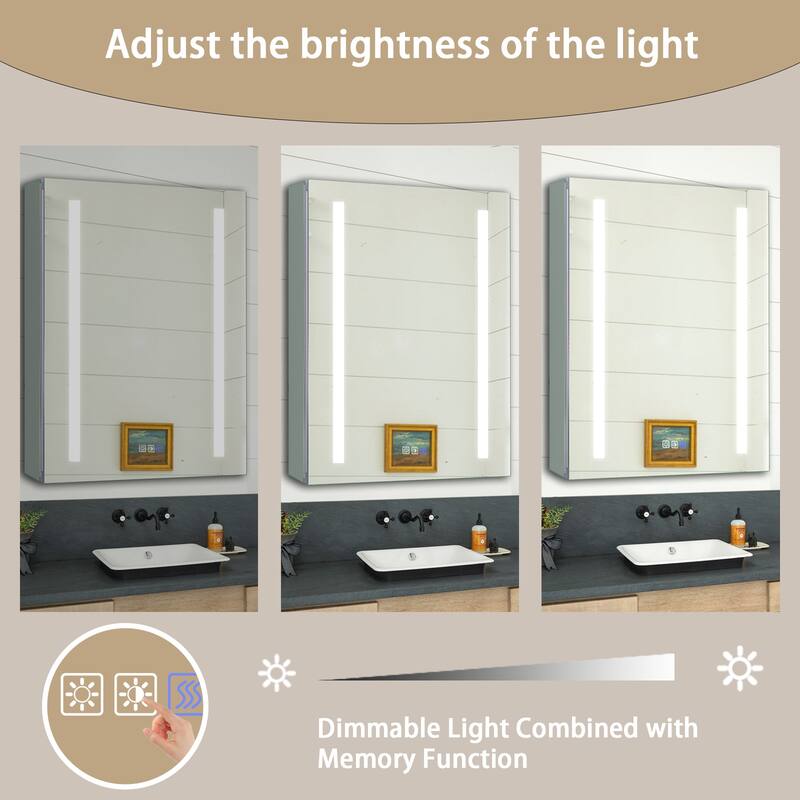 20 in. W x 26 in. H x 5 in. D Rectangular Silver Aluminum Recessed/Surface Mount Medicine Cabinet with Mirror