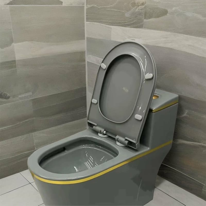 Grey Ceramic One Piece Toilet with Seat