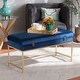 preview thumbnail 2 of 19, Aliana Glam and Luxe Velvet and Gold Metal Large Storage Ottoman